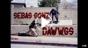 Sebas Gonz Dawwgs video part